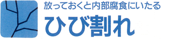 放っておくと内部腐食にいたる　ひび割れ