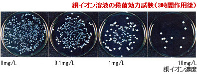 銅イオン溶液の殺菌効力試験(3時間作用後)