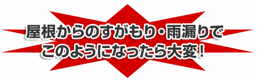 屋根からのすがもり・雨漏りでこのようになったら大変!!