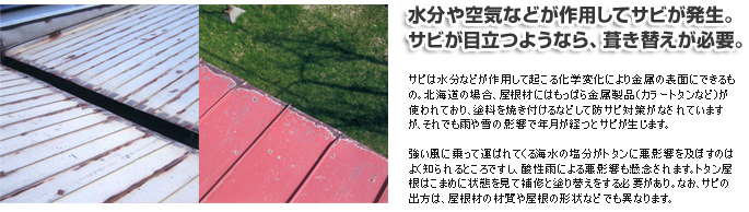 水分や空気などが作用してサビが発生。サビが目立つようなら、葺き替えが必要。